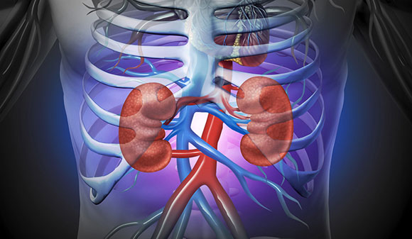 Nephrology