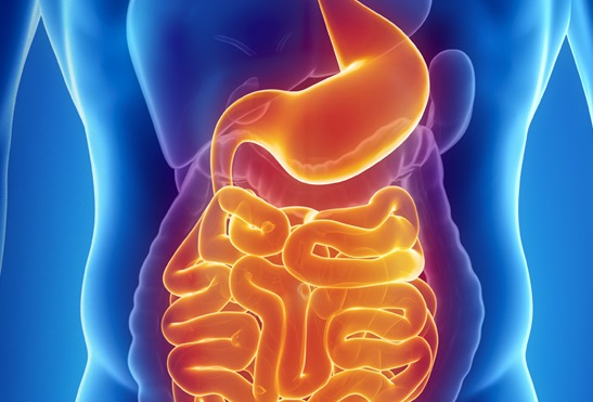 Gastroenterology